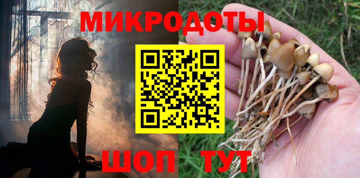 Псилоцибиновые грибы мухоморы Назарово