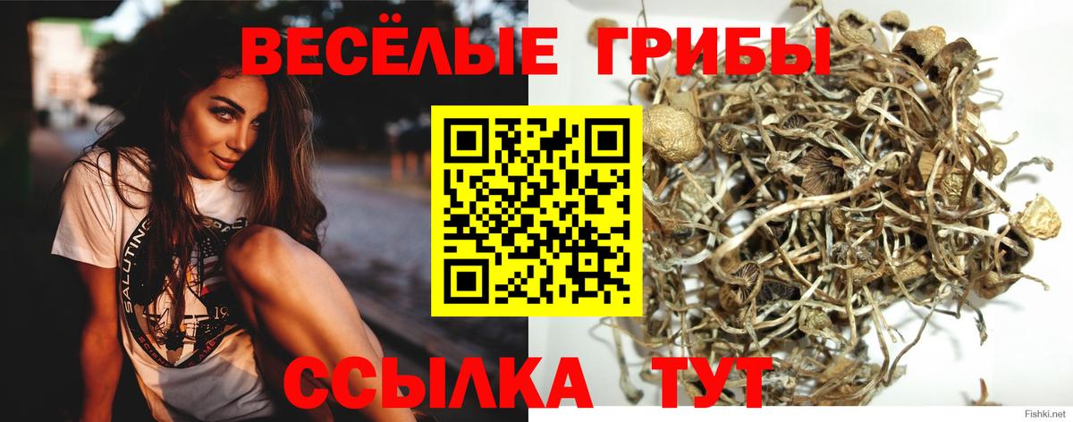 Псилоцибиновые грибы Cubensis  Псилоцибиновые грибы мицелий  Назарово  где купить наркотик  Вход с VPN 